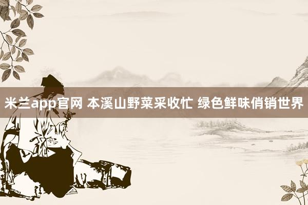 米兰app官网 本溪山野菜采收忙 绿色鲜味俏销世界