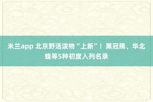 米兰app 北京野活泼物“上新”！黑冠鳽、华北蝮等5种初度入列名录