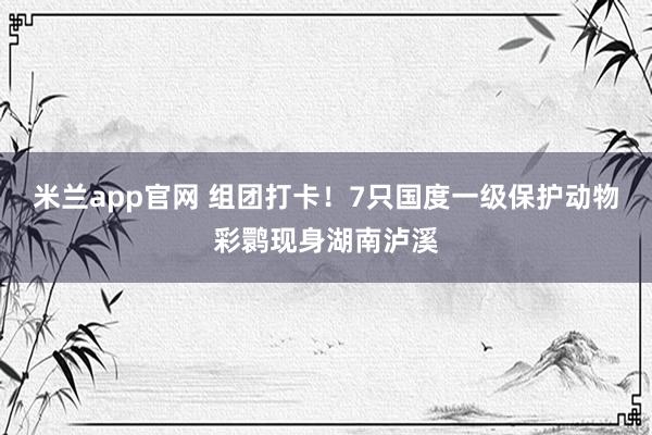 米兰app官网 组团打卡！7只国度一级保护动物彩鹮现身湖南泸溪