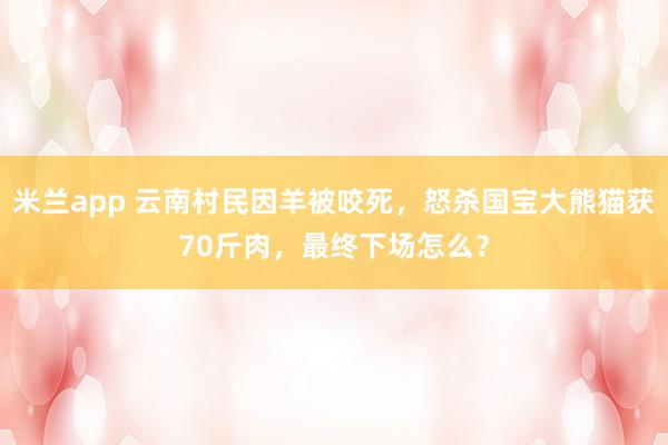 米兰app 云南村民因羊被咬死，怒杀国宝大熊猫获70斤肉，最终下场怎么？