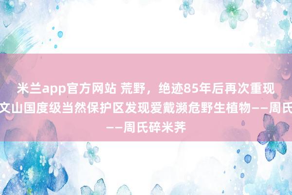 米兰app官方网站 荒野，绝迹85年后再次重现！云南文山国度级当然保护区发现爱戴濒危野生植物——周氏碎米荠