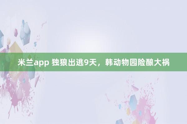 米兰app 独狼出逃9天，韩动物园险酿大祸