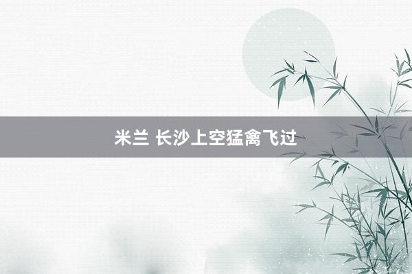 米兰 长沙上空猛禽飞过