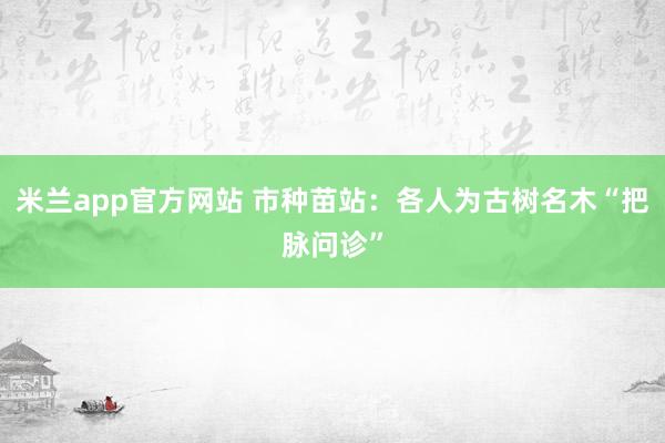 米兰app官方网站 市种苗站：各人为古树名木“把脉问诊”