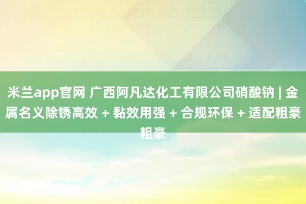 米兰app官网 广西阿凡达化工有限公司硝酸钠 | 金属名义除锈高效 + 黏效用强 + 合规环保 + 适配粗豪