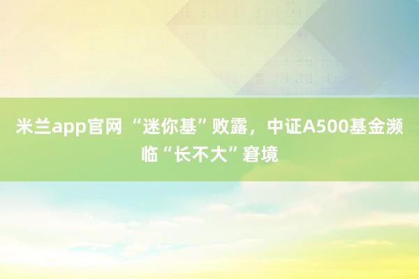 米兰app官网 “迷你基”败露，中证A500基金濒临“长不大”窘境