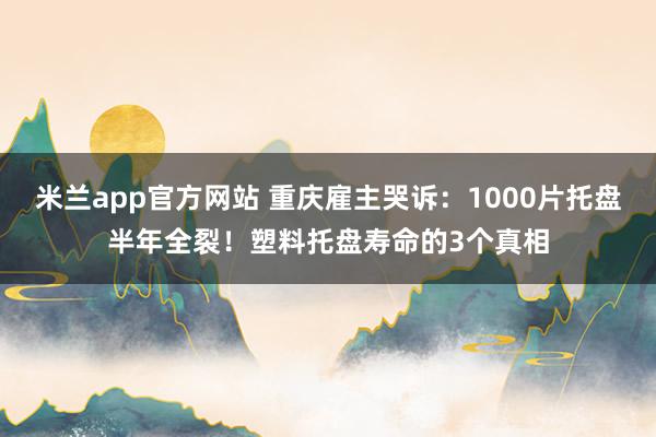 米兰app官方网站 重庆雇主哭诉：1000片托盘半年全裂！塑料托盘寿命的3个真相