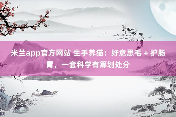 米兰app官方网站 生手养猫：好意思毛 + 护肠胃，一套科学有筹划处分