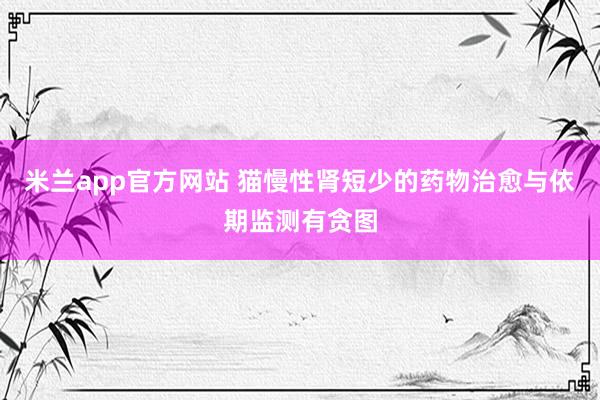 米兰app官方网站 猫慢性肾短少的药物治愈与依期监测有贪图