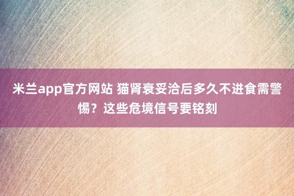 米兰app官方网站 猫肾衰妥洽后多久不进食需警惕？这些危境信号要铭刻