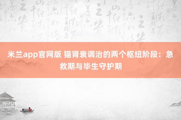 米兰app官网版 猫肾衰调治的两个枢纽阶段：急救期与毕生守护期