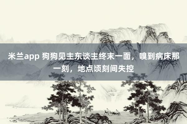 米兰app 狗狗见主东谈主终末一面，嗅到病床那一刻，地点顷刻间失控