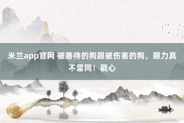 米兰app官网 被善待的狗跟被伤害的狗，眼力真不雷同！戳心
